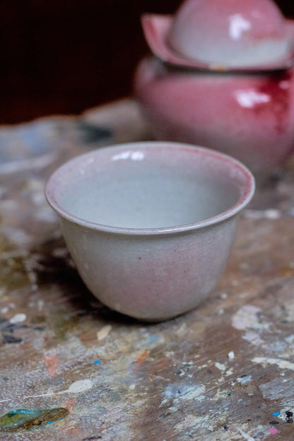 Set with Peach and Pink Teapot and Cup